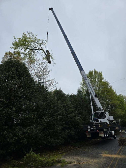 A large white industrial crane extends its boom high over a treeline to carefully lift a heavy log, demonstrating the process of crane-assisted tree removal.