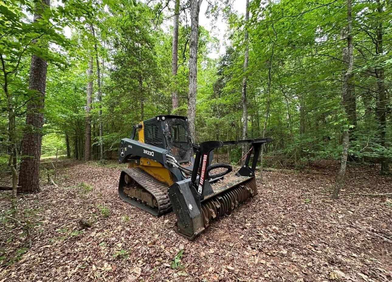 Yellow skid steer equipped with a powerful mulcher attachment processes dense undergrowth and fallen leaves, highlighting the results of professional forestry mulching in a wooded area.