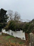 Heavy evergreen branches collapsed across a broken white vinyl fence, emphasizing the importance of professional storm damage cleanup.