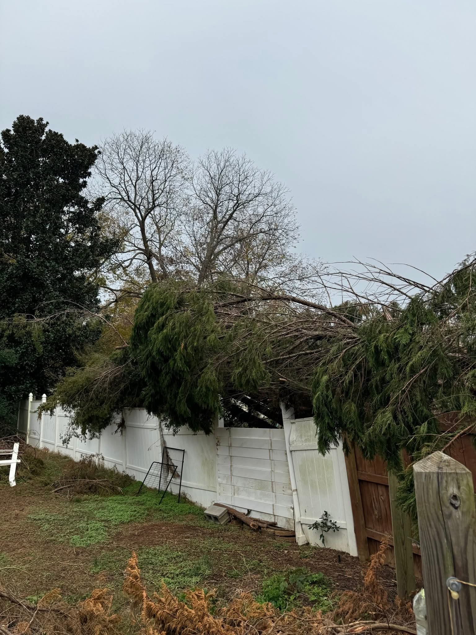 Heavy evergreen branches collapsed across a broken white vinyl fence, emphasizing the importance of professional storm damage cleanup.