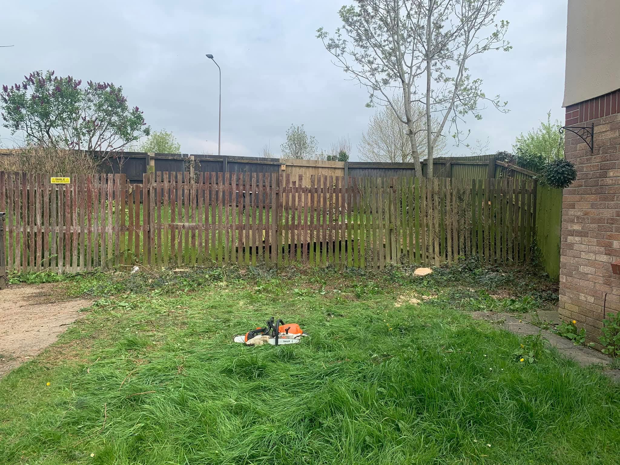 A backyard scene showing the results of a tree removal project. A white and orange chainsaw sits in the middle of a long grass lawn, surrounded by scattered wood debris. In the background, a wooden picket fence separates the yard from a line of trees under an overcast sky, with the side of a brick house visible to the right.